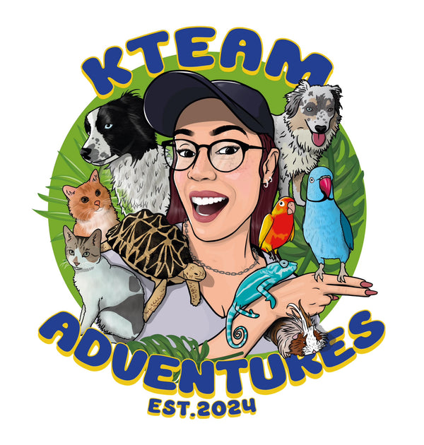 KTeam Adventures